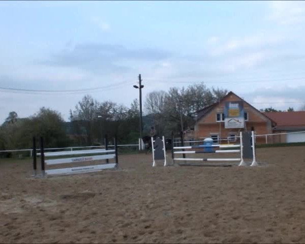 Video of Prince Saxany