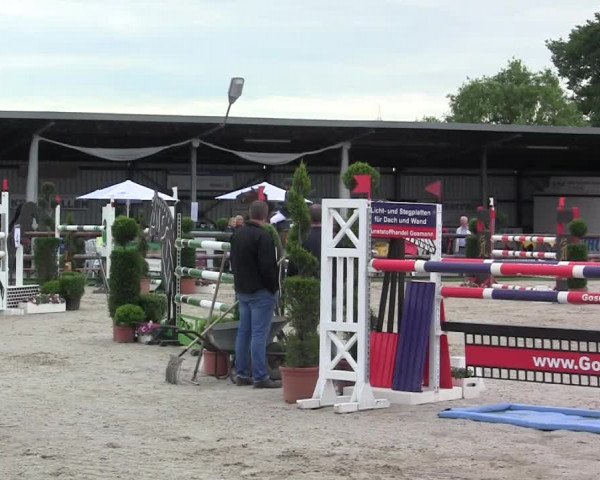 Großes Reit- und Springturnier Kirchhellen/Stall Dieckmann - Springprüfung Kl.M** (09/2)