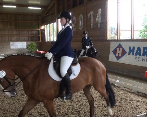 Coesfelder Reitertage 2014 