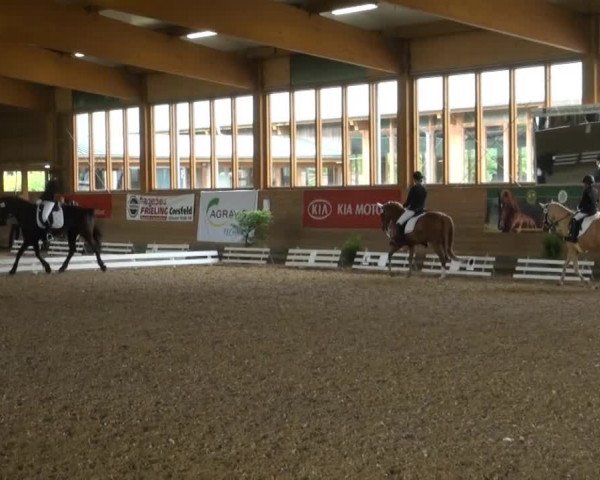 Coesfelder Reitertage 2014