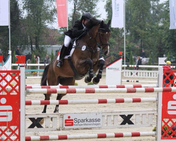 jumper Zip My World P (KWPN (Royal Dutch Sporthorse), 2004, from Goodtimes)