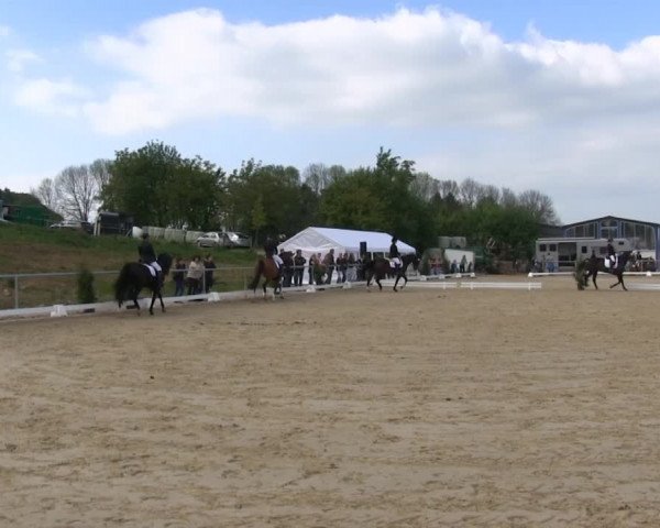 Video of Lajosch 2, Ladron 8