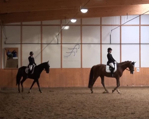 Video of Emmi C