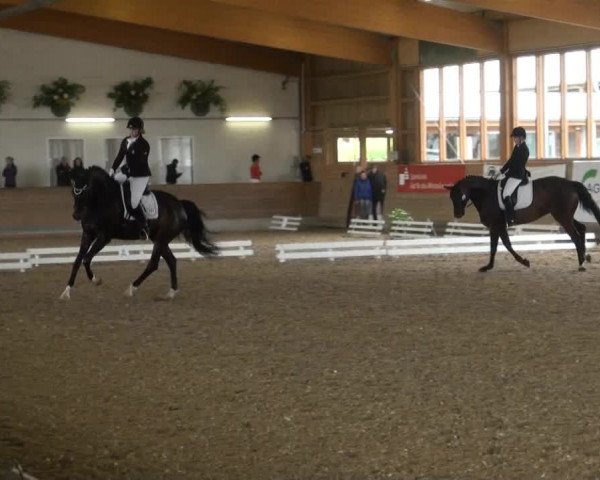Coesfelder Reitertage 2014