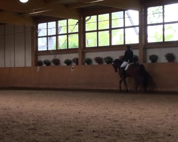 Video of Cäsar Hh