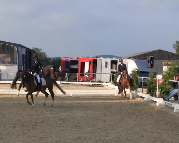 Video of Daddy Cool 49, Domingo S