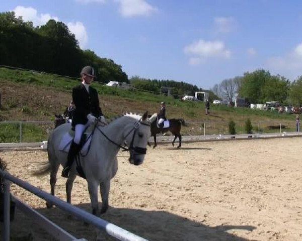 Video von Royal Labonique, Sanacja 2, Sammy-Joe 11