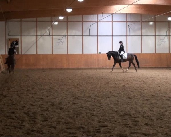 Video von Dellvue, Gerne Gross M, Donna Littchen 5
