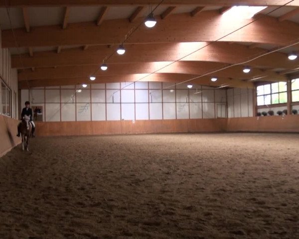 Video of Gerne Gross M