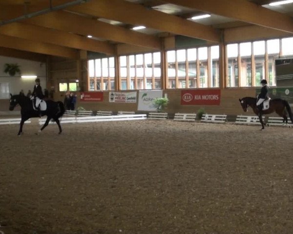 Video of Pauline 388