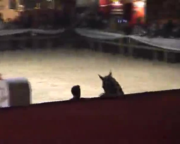 Video of Quick Star