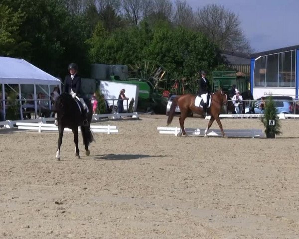 Video of Duncan Mc Leod 2