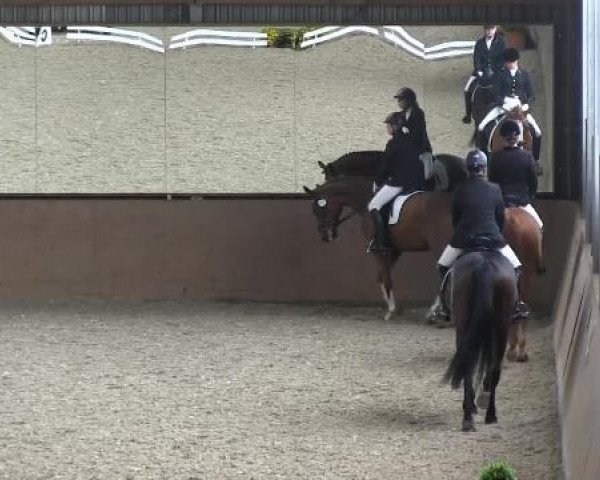 Video of Terra X GL, Soulesister