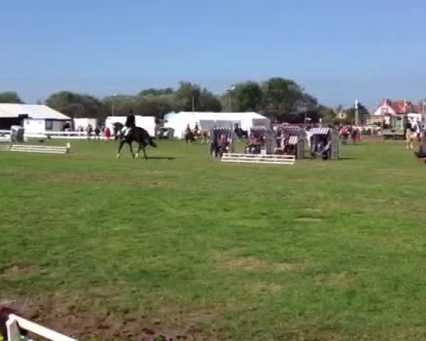 Video of Here I Am 3