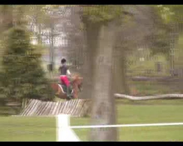 Video of Peter Pony
