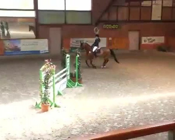Video of Cayenne