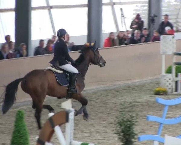 Bonn - Gut Ettenhausen: Zwei-Phasen-Springrpfüung_Kl.M* Nr.26 - 21.04.2014