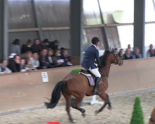 Bonn - Gut Ettenhausen: Zwei-Phasen-Springrpfüung_Kl.M* Nr.26 - 21.04.2014