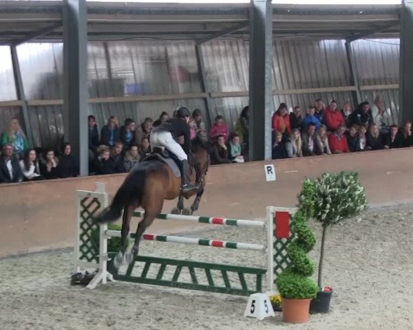 Bonn - Gut Ettenhausen: Zwei-Phasen-Springrpfüung_Kl.M* Nr.26 - 21.04.2014