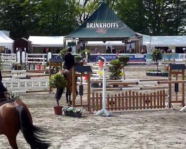 Video of Checker 43