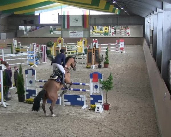 Bonn - Gut Ettenhausen: Zwei-Phasen-Springrpfüung_Kl.M* Nr.26 - 21.04.2014