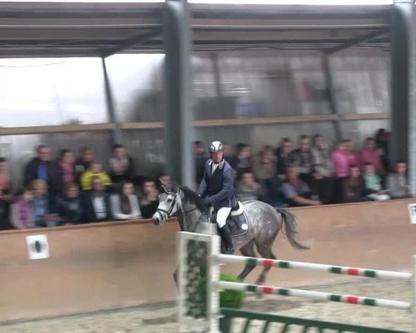 Bonn - Gut Ettenhausen: Zwei-Phasen-Springrpfüung_Kl.M* Nr.26 - 21.04.2014