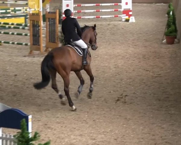 Bonn - Gut Ettenhausen: Springprüfung Kl.L Nr. 19 - 21.04.2014