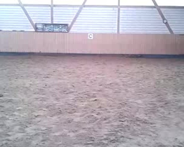 Video of Sir Donnerhall´s Erbin HG