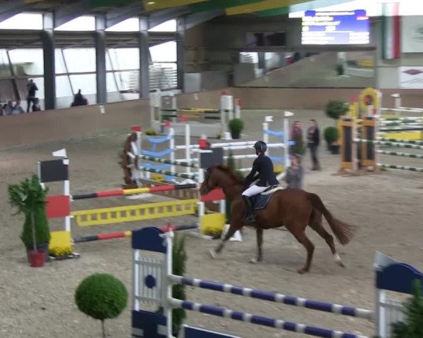 Bonn - Gut Ettenhausen: Springprüfung Kl.L Nr. 19 - 21.04.2014