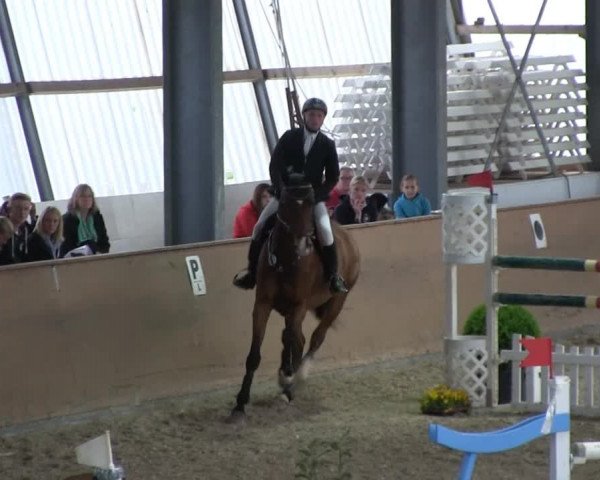 Bonn - Gut Ettenhausen: Zwei-Phasen-Springrpfüung_Kl.M* Nr.26 - 21.04.2014