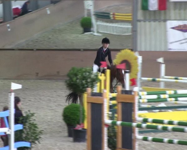 Video of Contina D.H.
