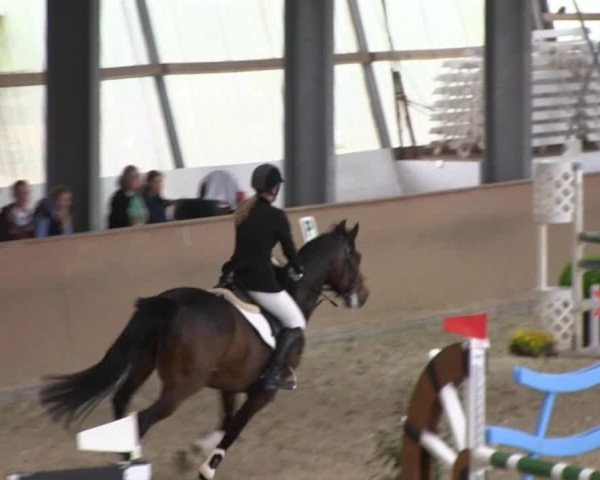 Bonn - Gut Ettenhausen: Springprüfung Kl.L Nr. 19 - 21.04.2014