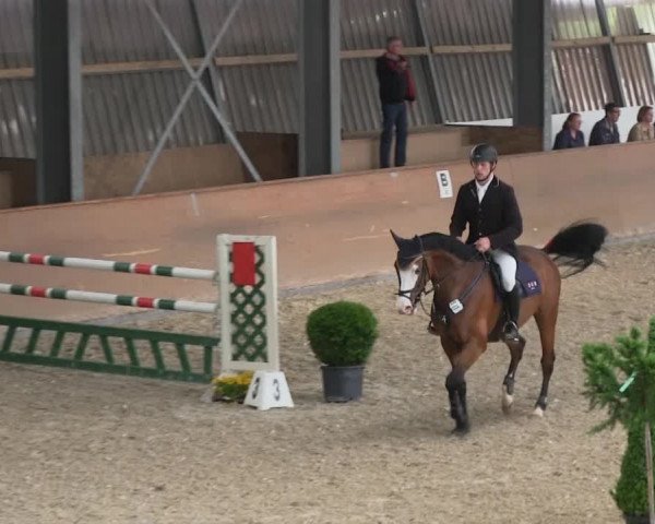 Bonn - Gut Ettenhausen: Springprüfung Kl.L Nr. 19 - 21.04.2014