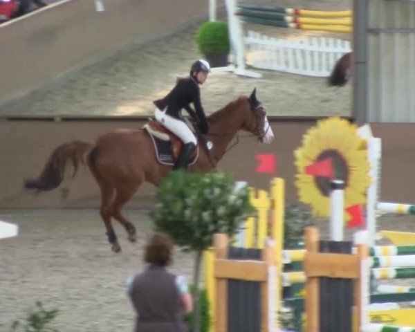 Bonn - Gut Ettenhausen: Springprüfung Kl.L Nr. 19 - 21.04.2014