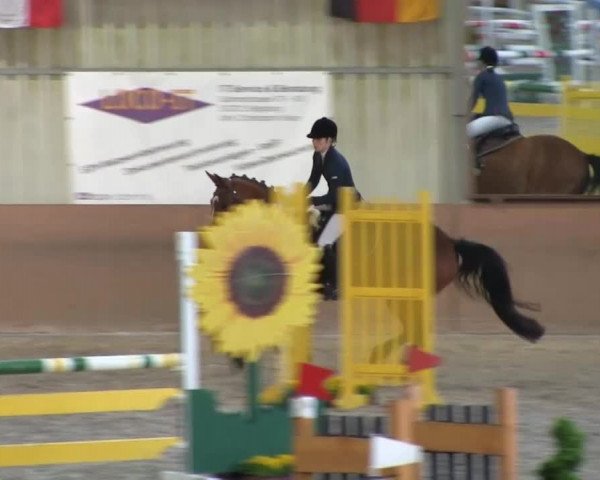 Bonn - Gut Ettenhausen: Springprüfung Kl.A* Nr.14 - 21.04.2014