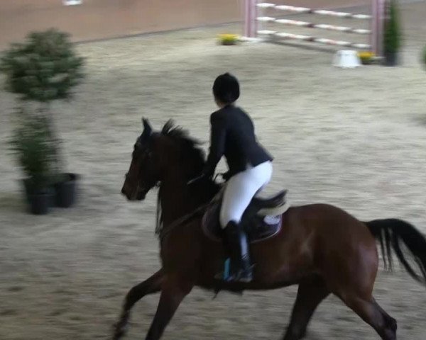 Bonn - Gut Ettenhausen: Springprüfung Kl.A* Nr.14 - 21.04.2014