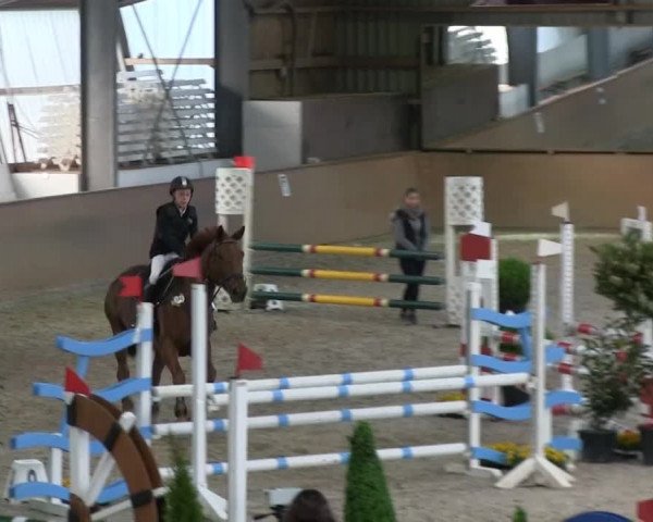 Bonn - Gut Ettenhausen: Springprüfung Kl.A* Nr.14 - 21.04.2014