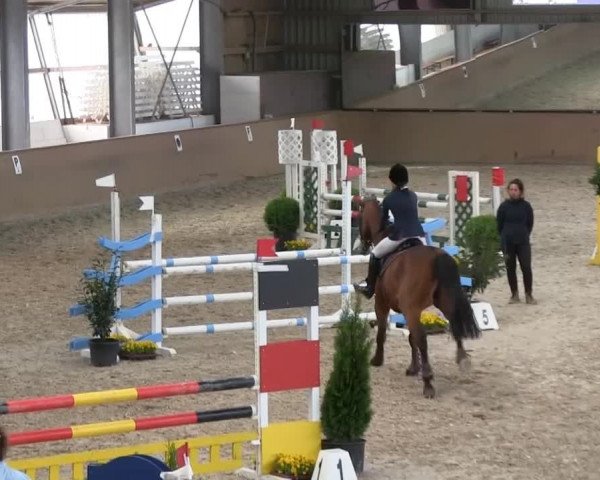 Bonn - Gut Ettenhausen: Stilspringprüfung Kl.A** mit Stechen Nr.12 - 21.04.2014