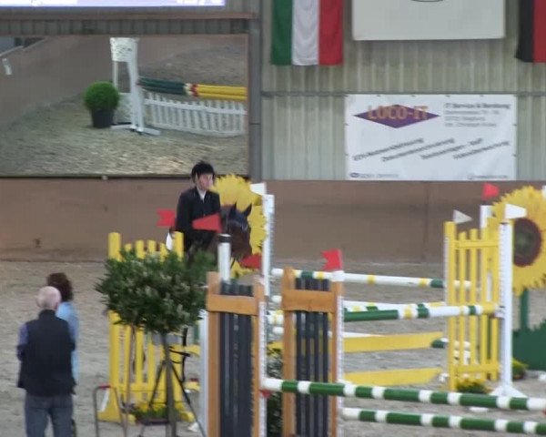 Bonn - Gut Ettenhausen: Stilspringprüfung Kl.A** mit Stechen Nr.12 - 21.04.2014
