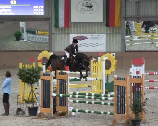 Bonn - Gut Ettenhausen: Stilspringprüfung Kl.A** mit Stechen Nr.12 - 21.04.2014