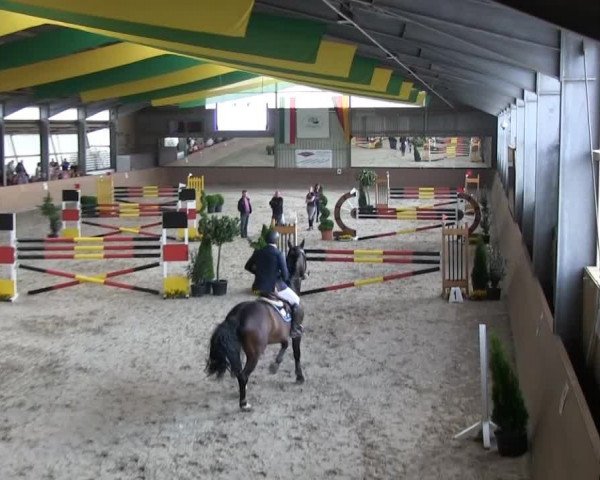 Bonn - Gut Ettenhausen: Barrierrenspringprüfung Kl.S* Nr.30 1.Umlauf-20.04.2014