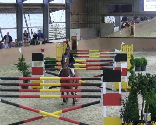 Bonn - Gut Ettenhausen: Barrierrenspringprüfung Kl.S* Nr.30 4.Umlauf-20.04.2014