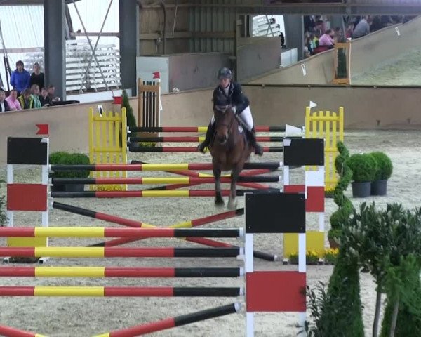 Bonn - Gut Ettenhausen: Barrierrenspringprüfung Kl.S* Nr.30 3.Umlauf-20.04.2014