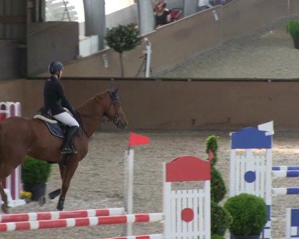 Bonn - Gut Ettenhausen: Zwei-Phasen-Springpürfung Kl.L - 20.04.2014
