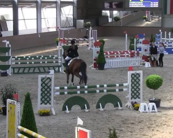 Bonn - Gut Ettenhausen: Springprüfung Kl.A* Nr. 13)- 20.04.2014