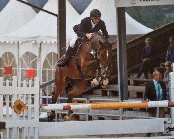 Springpferd Chakido (Westfale, 2009, von Chacco-Blue)