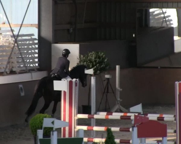 Bonn - Gut Ettenhausen: Stilspringprüfung Kl.A* Nr.09 -20.04.2014