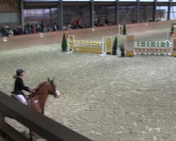 Bonn - Gut Ettenhausen: Stilspringprüfung Kl.L Nr. 21-19.04.2014