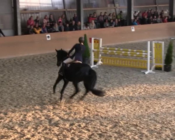 Bonn - Gut Ettenhausen: Mannsch.-Springprüfung Kl.A*-19.04.2014