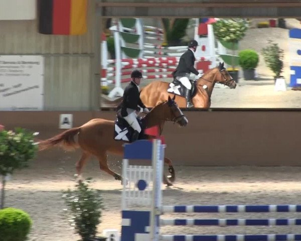 Bonn - Gut Ettenhausen: Stilspringprüfung Kl.E-19.04.2014